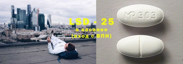 шишки Абаза