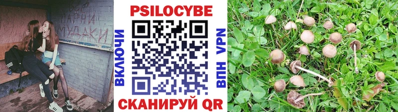 blacksprut онион  Катав-Ивановск  Галлюциногенные грибы MAGIC MUSHROOMS 